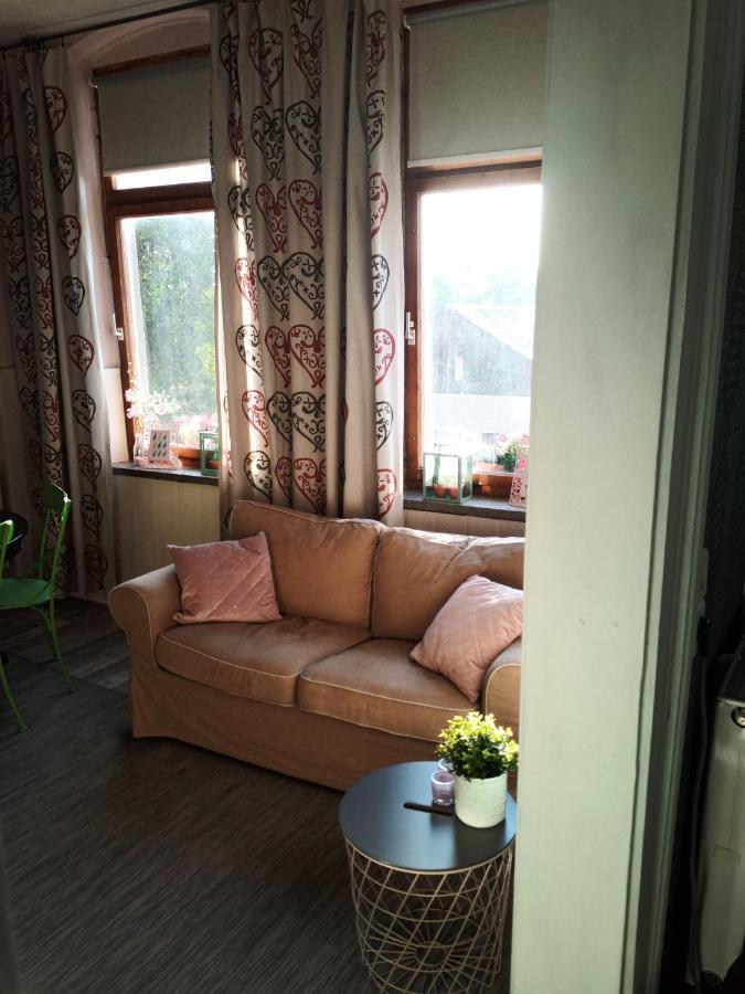 לינה וארוחת בוקר Oelsnitz  Zur Friedrichsruh מראה חיצוני תמונה