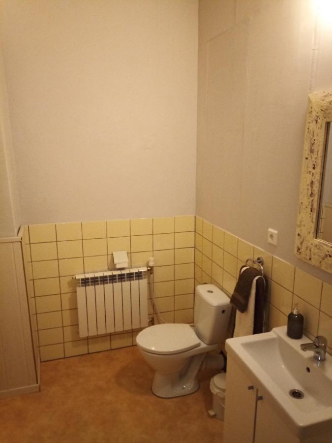 לינה וארוחת בוקר Oelsnitz  Zur Friedrichsruh מראה חיצוני תמונה