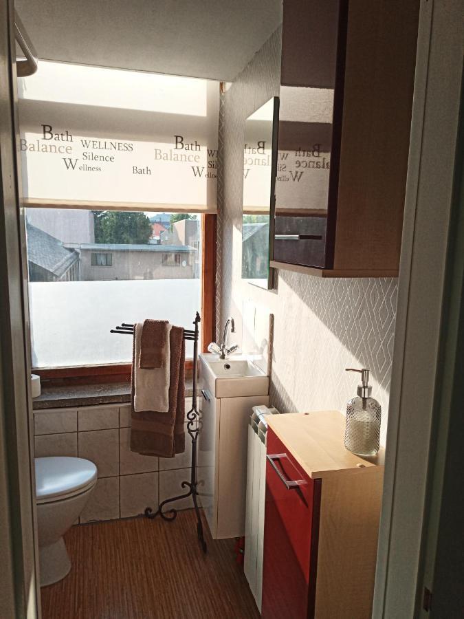 לינה וארוחת בוקר Oelsnitz  Zur Friedrichsruh מראה חיצוני תמונה